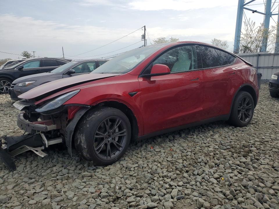 Продаж на аукціоні авто 2025 Tesla Model Y, vin: 7SAYGDEE6SA365359, номер лоту: 49326456
