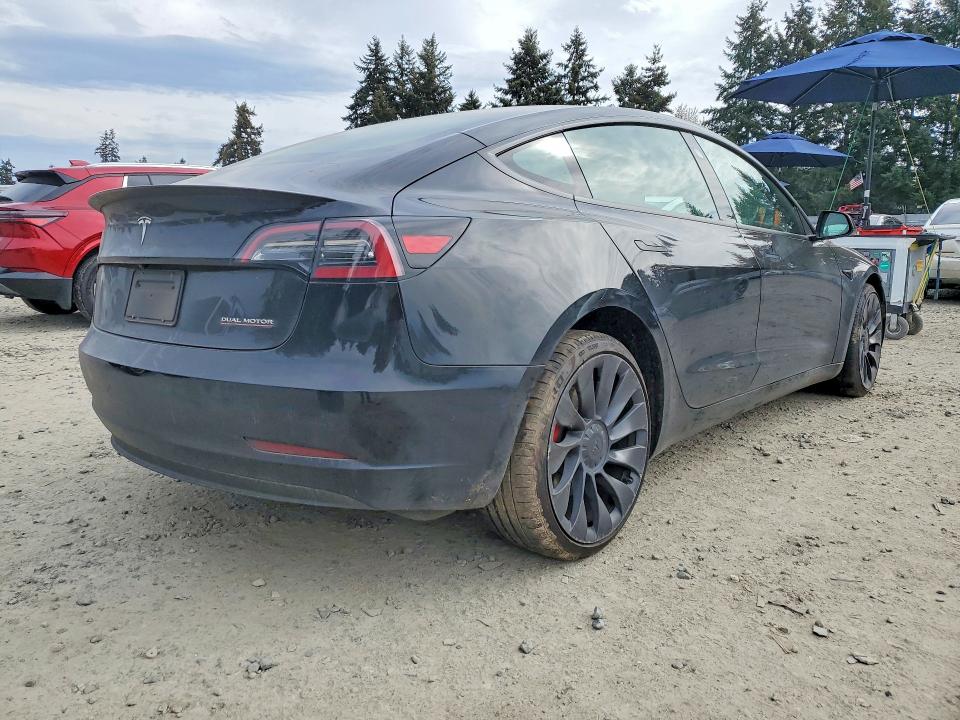 Продаж на аукціоні авто 2023 Tesla Model 3, vin: 5YJ3E1EC5PF405080, номер лоту: 49776816