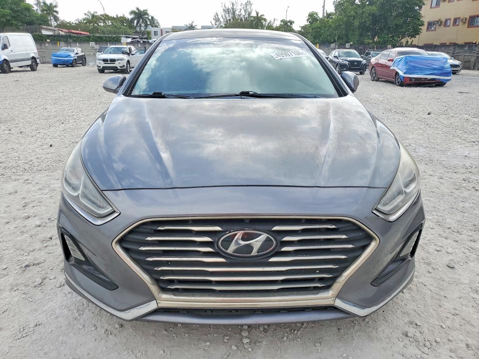 49907106 :رقم المزاد ، 5NPE24AF3KH776705 vin ، 2019 Hyundai Sonata مزاد بيع