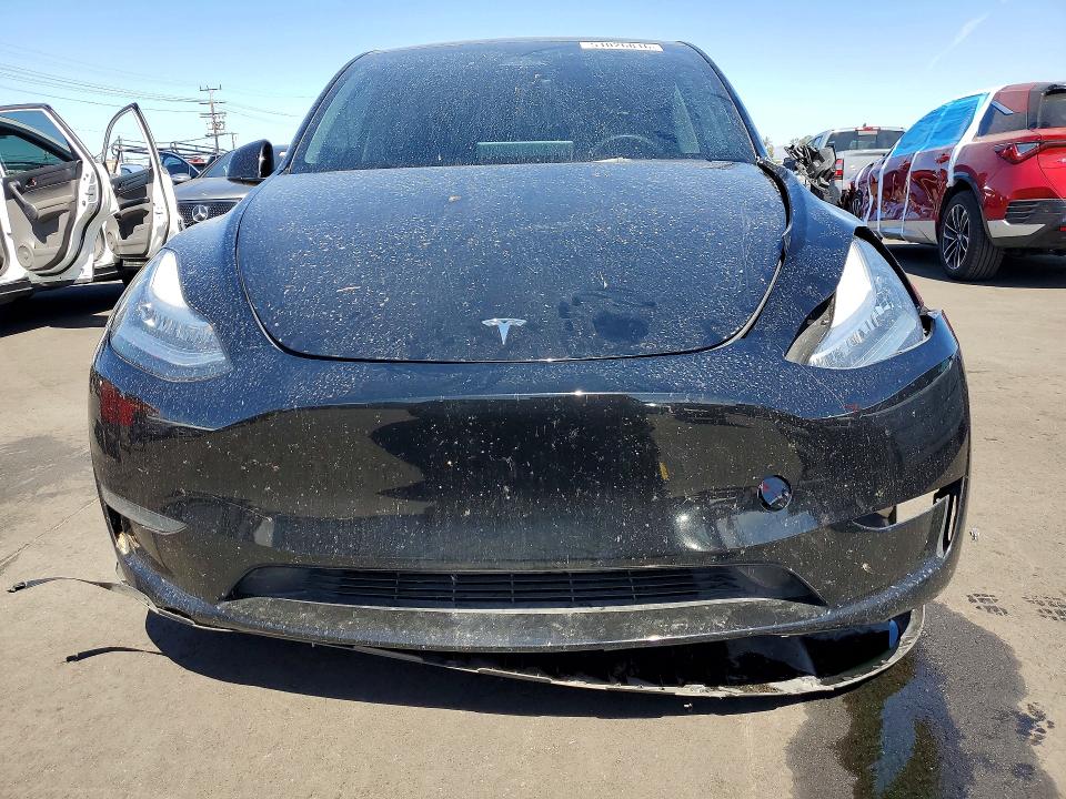 Продажа на аукционе авто 2023 Tesla Model Y, vin: 7SAYGDEE2PA109906, номер лота: 51026816