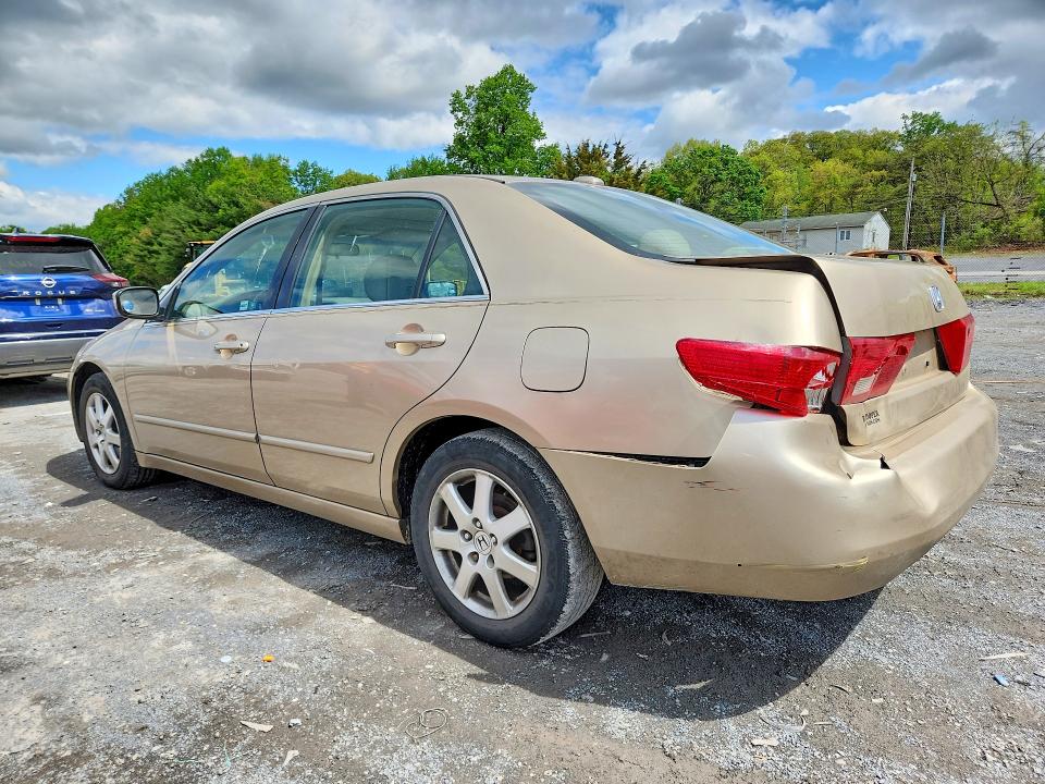 Продаж на аукціоні авто 2005 Hond Accord, vin: 1HGCM66525A074868, номер лоту: 51388556