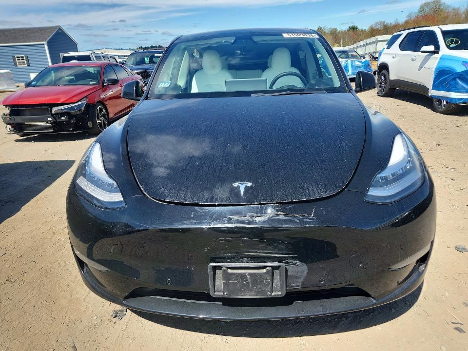 2021 Tesla Model Y მანქანა იყიდება აუქციონზე, vin: 5YJYGDEE6MF201449, აუქციონის ნომერი: 51509836