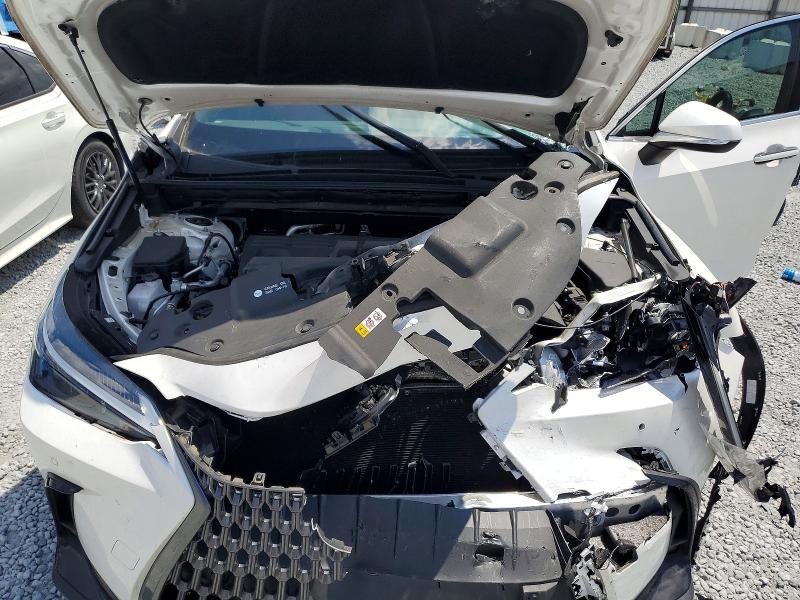 Aukcja sprzedaży 2025 Lexus Nx 250, vin: 2T2ADCAZ7SC018913, numer aukcji: 51534706