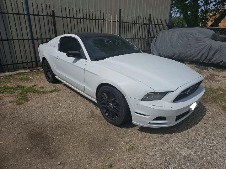 49283166 :رقم المزاد ، 1ZVBP8AM5E5332723 vin ، 2014 Ford Mustang مزاد بيع