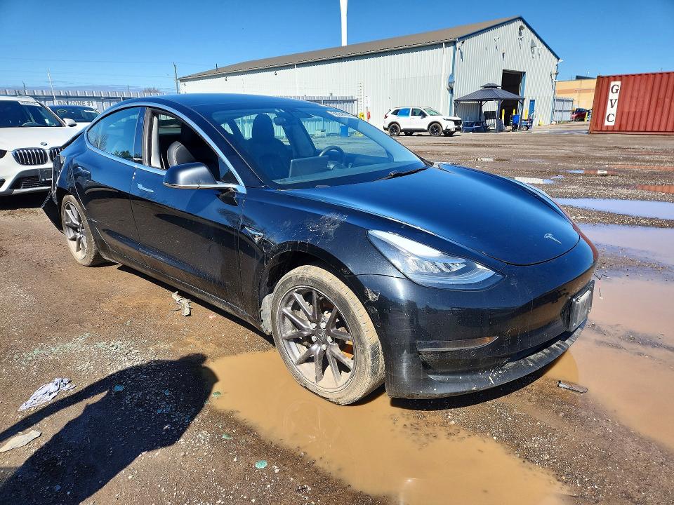Продаж на аукціоні авто 2020 Tesla Model 3, vin: 5YJ3E1EA9LF802168, номер лоту: 50244966