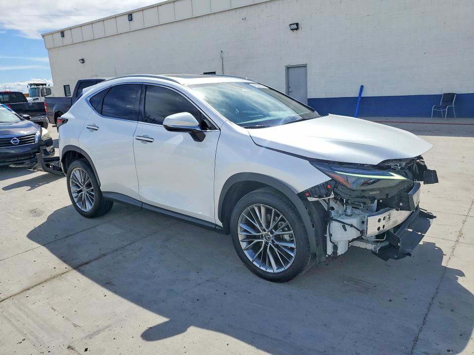 48981366 :رقم المزاد ، 2T2HGCEZ5NC010216 vin ، 2022 Lexus Nx 350 مزاد بيع