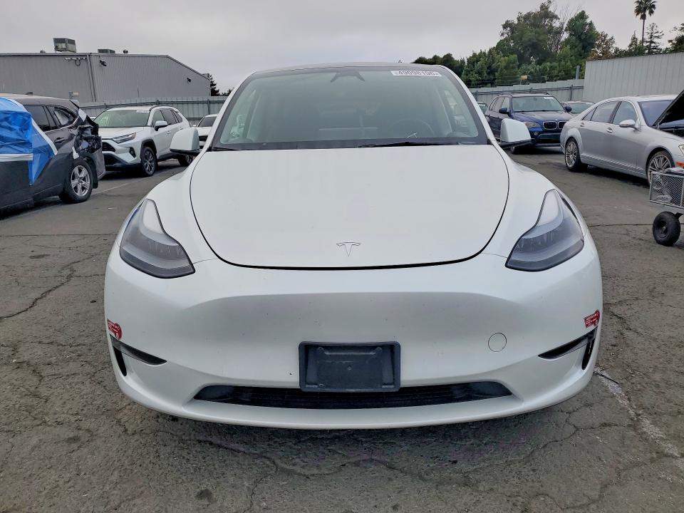 Продаж на аукціоні авто 2024 Tesla Model Y, vin: 7SAYGAEE2RF054149, номер лоту: 49098196