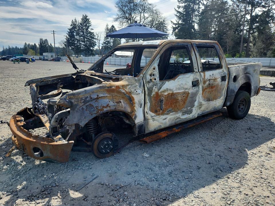 Auction sale of the 2014 Ford F150, vin: 1FTFW1EF9EKG33331, lot number: 49015336