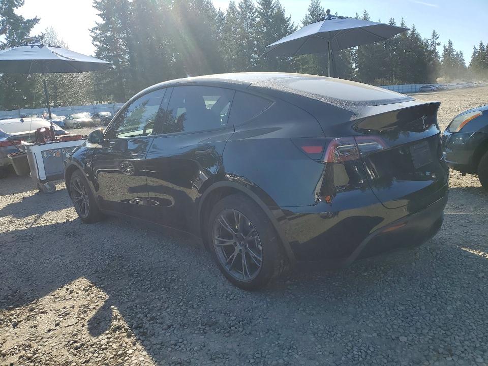 Продаж на аукціоні авто 2025 Tesla Model Y, vin: 7SAYGAEEXSF241127, номер лоту: 48635776