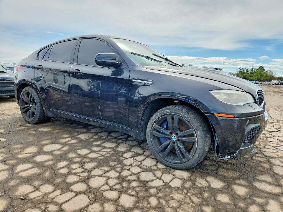 Продаж на аукціоні авто 2013 Bmw X6, vin: 5YMGZ0C59DLL30078, номер лоту: 48312076
