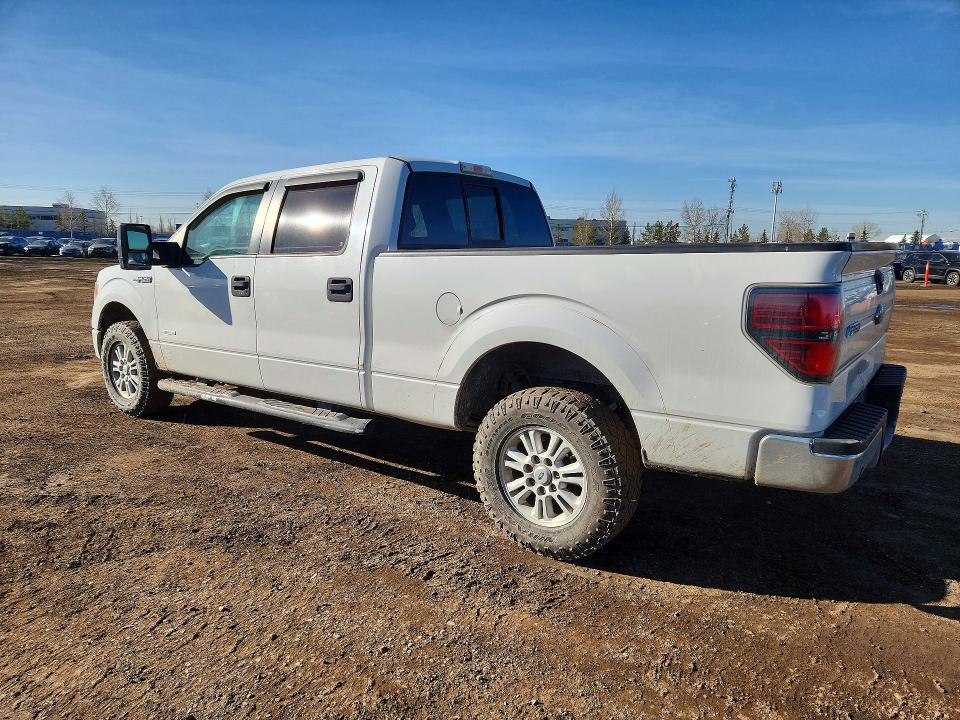 Aukcja sprzedaży 2013 Ford F150, vin: 1FTVW1ET2DKE30488, numer aukcji: 49725206