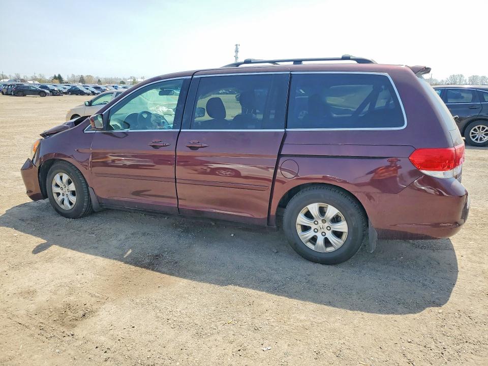 Продажа на аукционе авто 2009 Honda Odyssey, vin: 5FNRL38449B502290, номер лота: 51328866