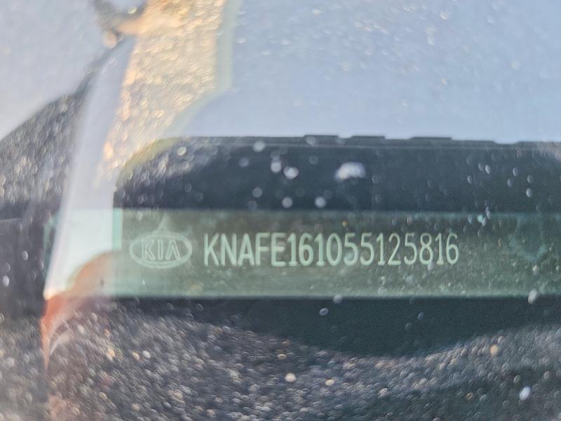49680886 :رقم المزاد ، KNAFE161055125816 vin ، 2005 Kia Spectra مزاد بيع