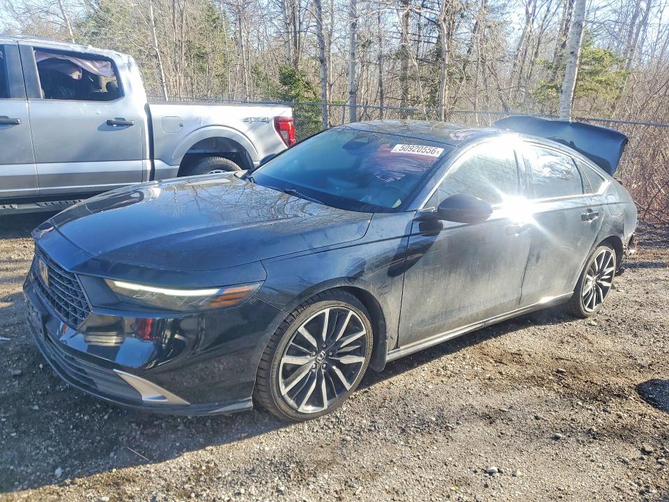 50920556 :رقم المزاد ، 1HGCY2F80RA800417 vin ، 2024 Honda Accord مزاد بيع