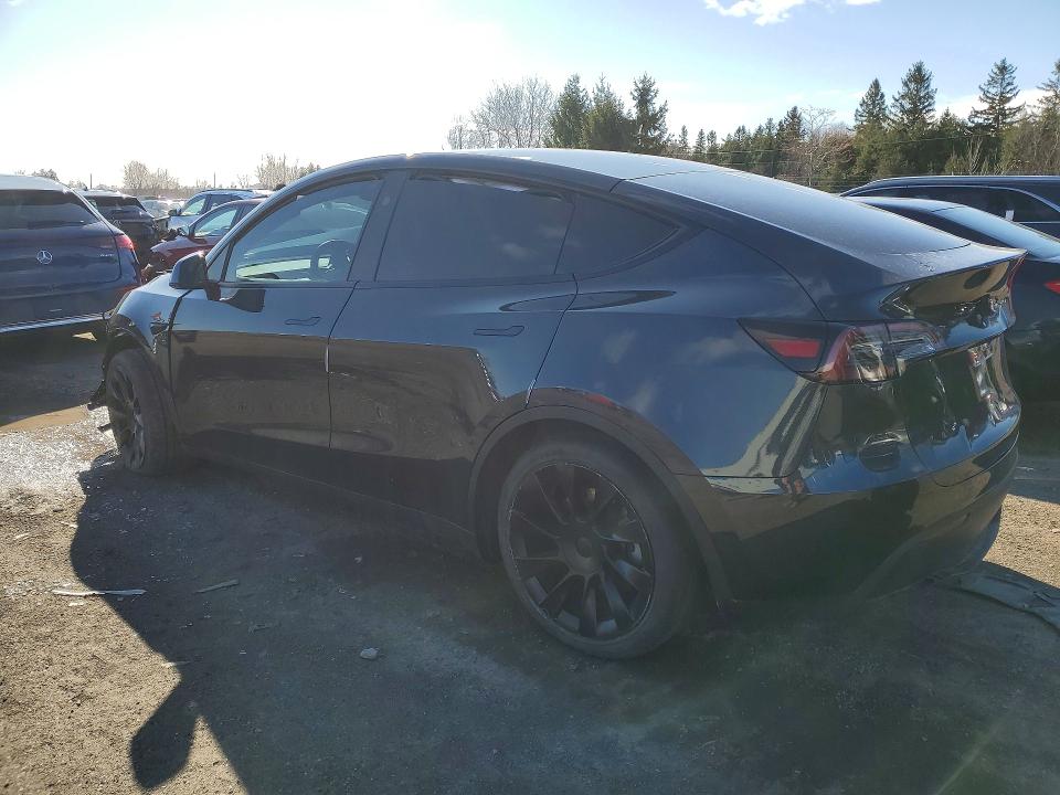2024 Tesla Model Y მანქანა იყიდება აუქციონზე, vin: 7SAYGDEE3RF027141, აუქციონის ნომერი: 50283416