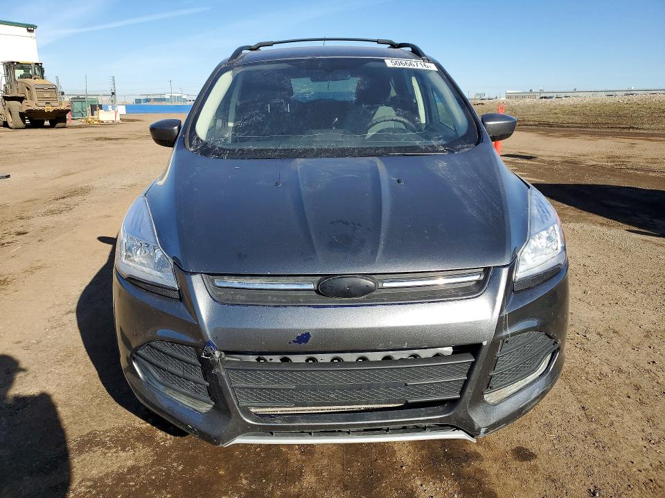 50666716 :رقم المزاد ، 1FMCU9G98DUA08352 vin ، 2013 Ford Escape مزاد بيع