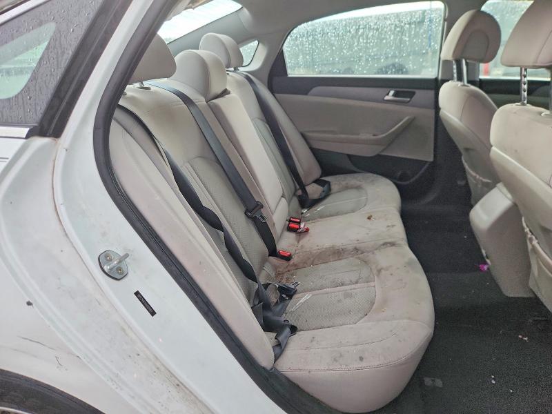 50151656 :رقم المزاد ، 5NPE24AF1HH565897 vin ، 2017 Hyundai Sonata مزاد بيع