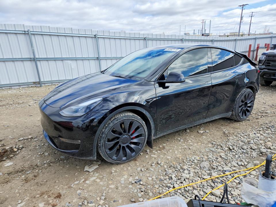 49382176 :رقم المزاد ، 7SAYGDEF8PF811854 vin ، 2023 Tesla Model Y مزاد بيع