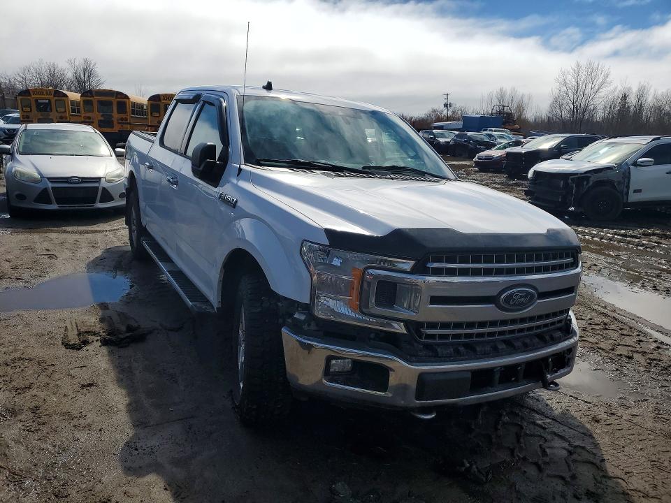 49437936 :رقم المزاد ، 1FTEW1EP0KKD01309 vin ، 2019 Ford F150 مزاد بيع