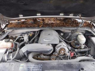 Aukcja sprzedaży 2006 Gmc New Sierra, vin: 1GTEK19B66Z196640, numer aukcji: 78509805