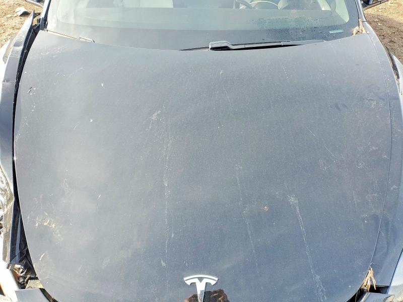 50119996 :رقم المزاد ، 5YJ3E1EA5MF019088 vin ، 2021 Tesla Model 3 مزاد بيع