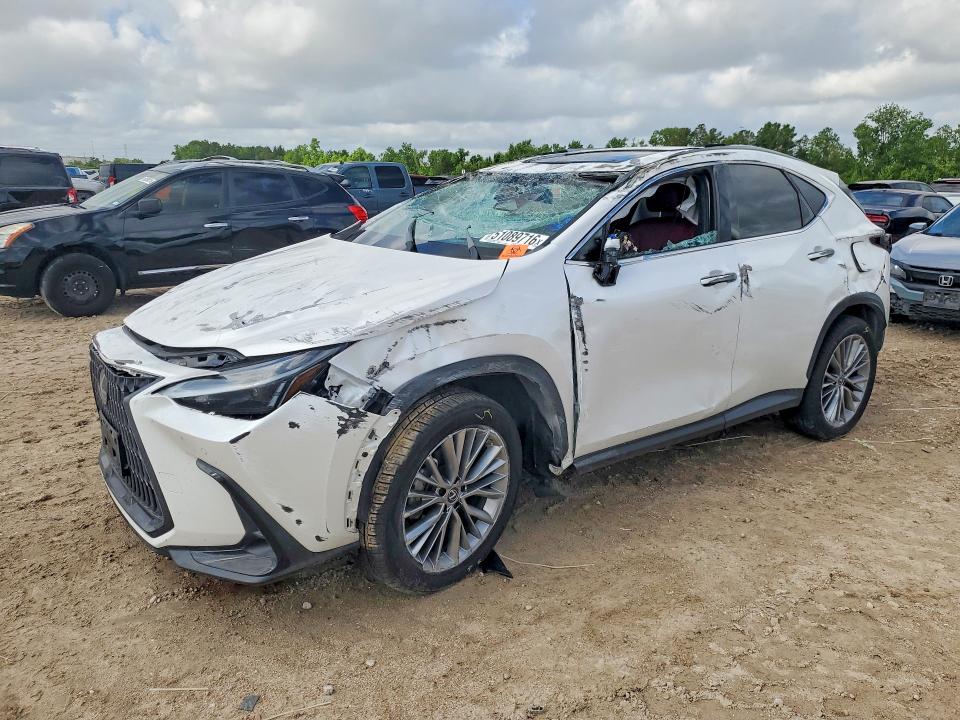 51089716 :رقم المزاد ، 2T2GKCEZ6PC010206 vin ، 2023 Lexus Nx مزاد بيع