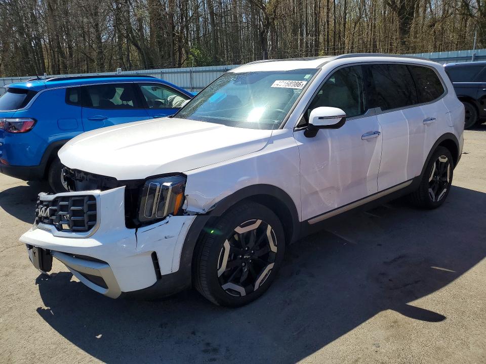 Auction sale of the 2025 Kia Telluride, vin: 5XYP6DGC5SG641257, lot number: 49168986