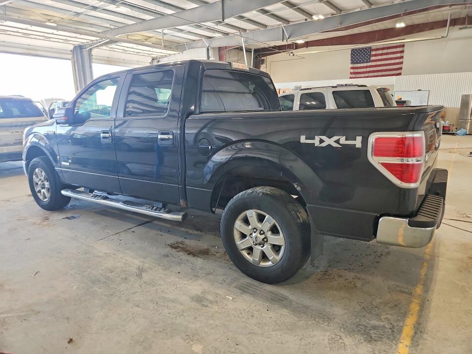 51167456 :رقم المزاد ، 1FTFW1ETXDKE34373 vin ، 2013 Ford F150 مزاد بيع