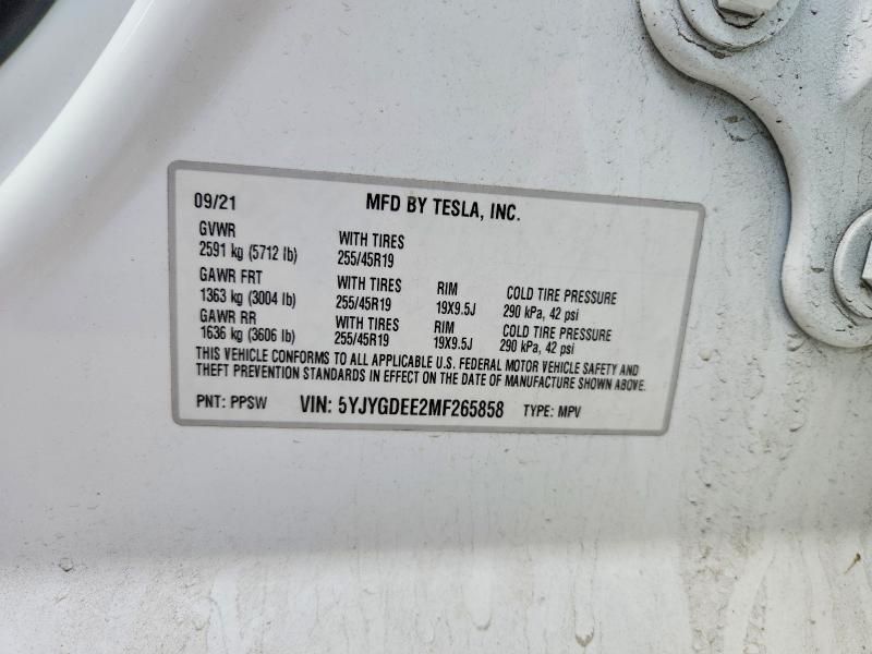 Продаж на аукціоні авто 2021 Tesla Model Y, vin: 5YJYGDEE2MF265858, номер лоту: 49100166