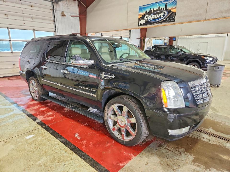 Продаж на аукціоні авто 2010 Cadillac Escalade, vin: 1GYUKJEF0AR262350, номер лоту: 50408476