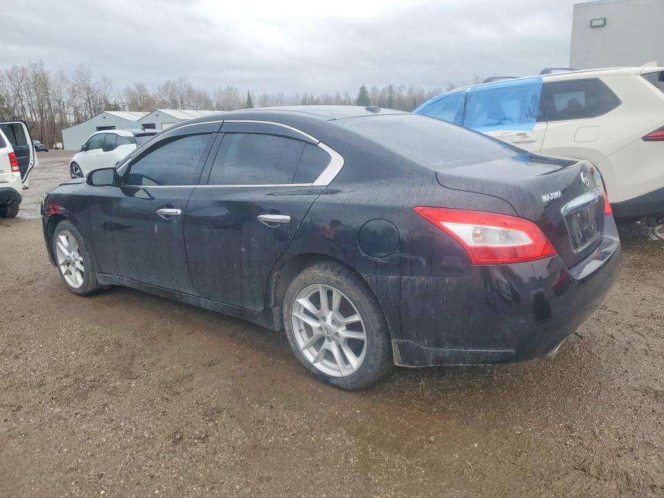 49399626 :رقم المزاد ، 1N4AA5AP6BC858915 vin ، 2011 Nissan Maxima مزاد بيع