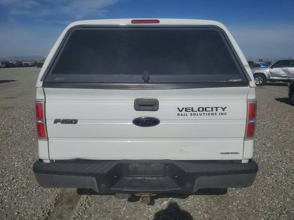 50555346 :رقم المزاد ، 1FTFW1EF1DFC21170 vin ، 2013 Ford F150 مزاد بيع