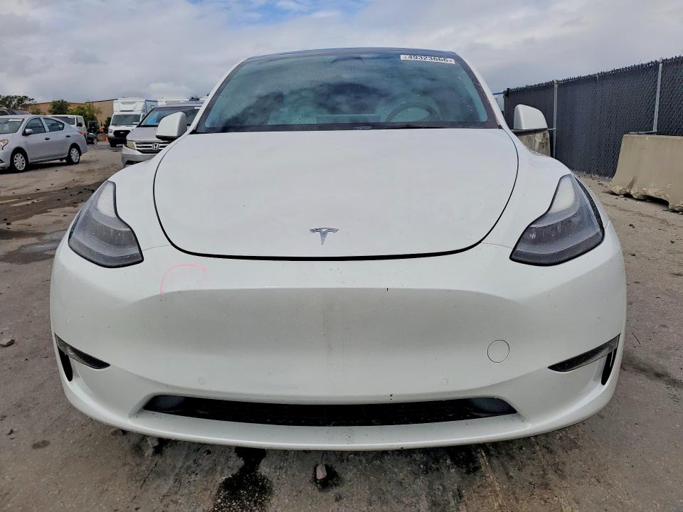 Продаж на аукціоні авто 2021 Tesla Model Y, vin: 5YJYGDEF7MF266416, номер лоту: 49323666