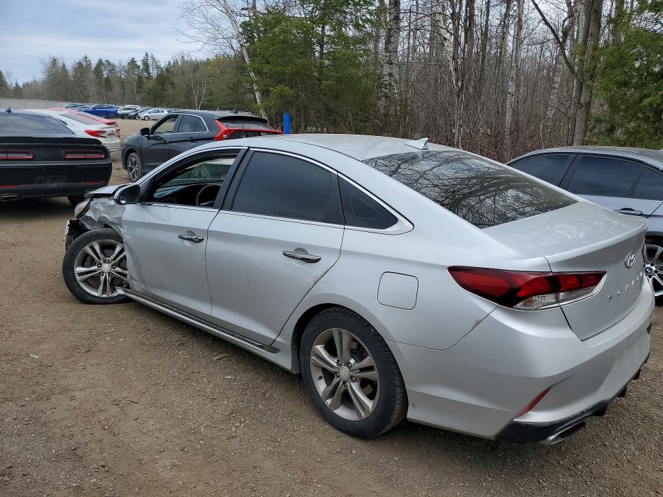 Продажа на аукционе авто 2019 Hyundai Sonata, vin: 5NPE34AF4KH774507, номер лота: 51095276