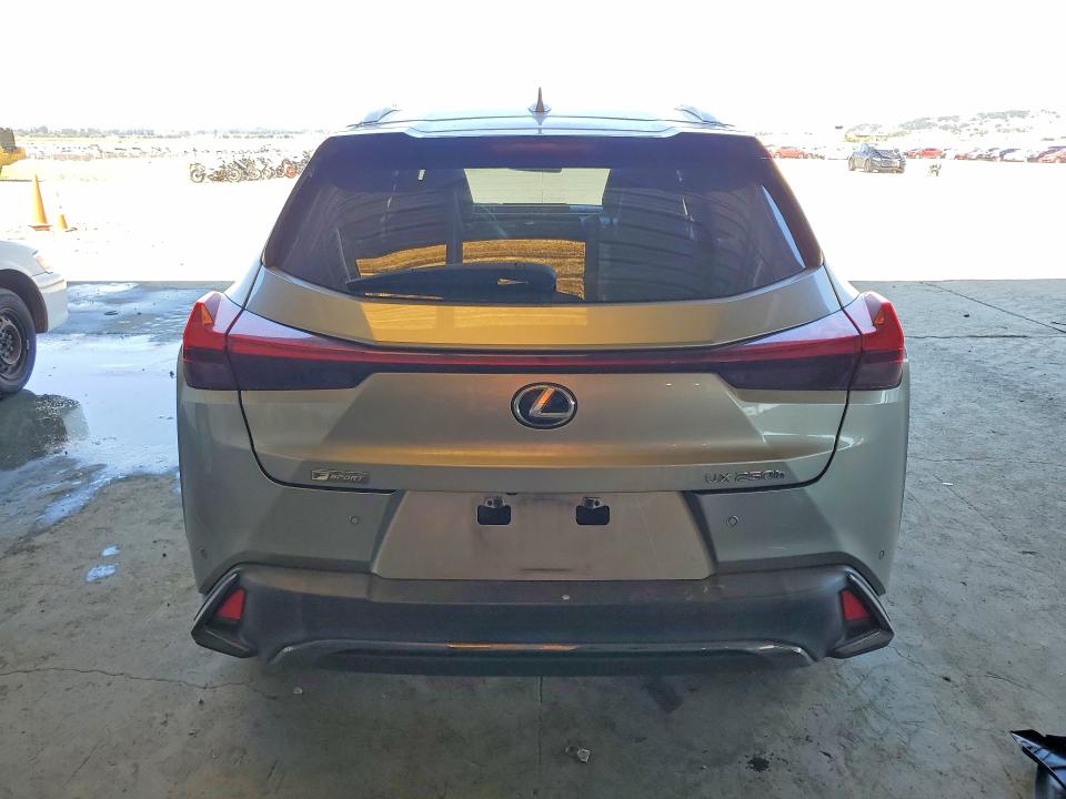 Aukcja sprzedaży 2021 Lexus Ux, vin: JTHE9JBH8M2041506, numer aukcji: 51164996