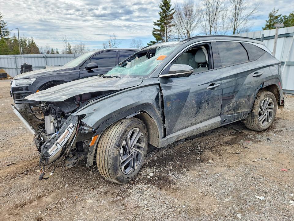 Продажа на аукционе авто 2026 Hyundai Tucson, vin: KM8JCDD10TU426561, номер лота: 50929446