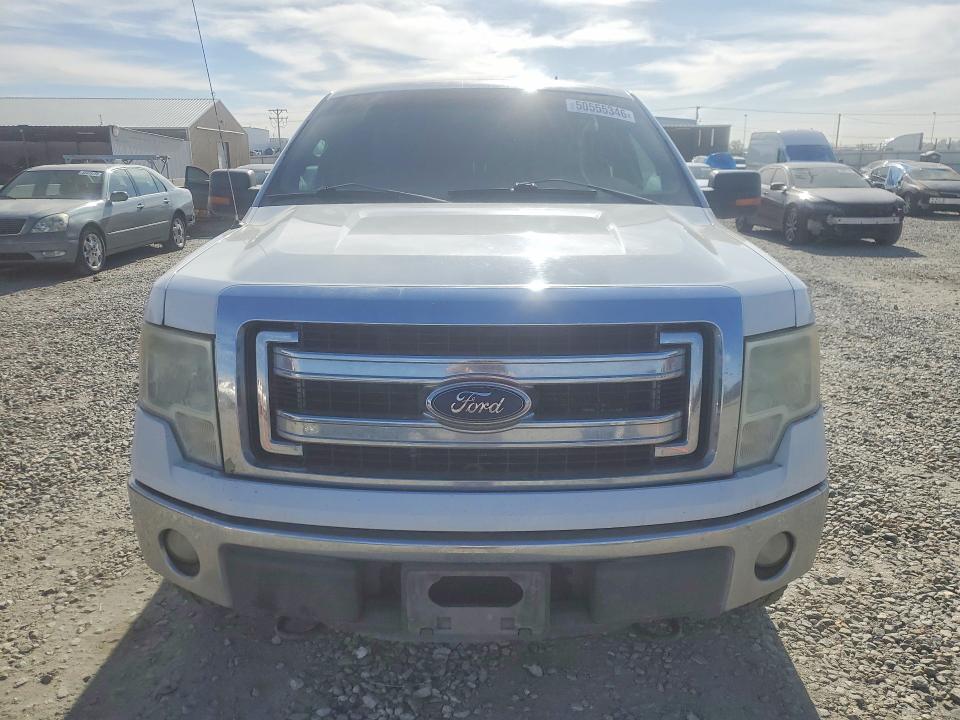 50555346 :رقم المزاد ، 1FTFW1EF1DFC21170 vin ، 2013 Ford F150 مزاد بيع