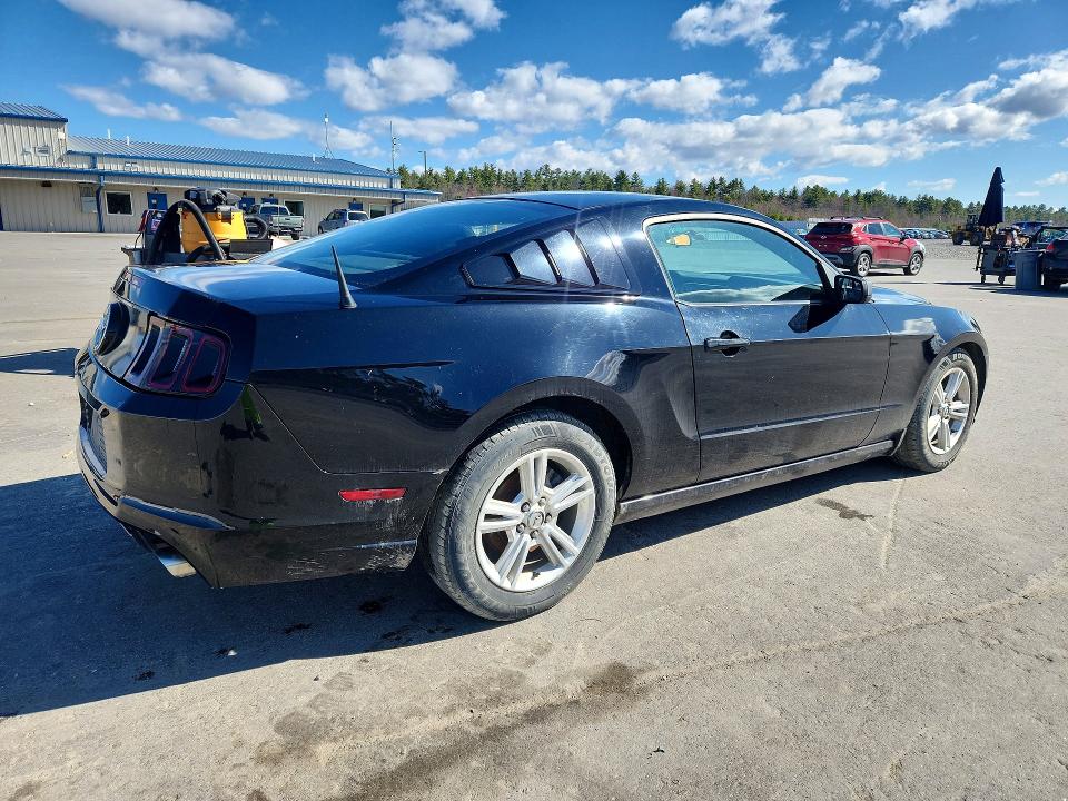 50415486 :رقم المزاد ، 1ZVBP8AM0E5294026 vin ، 2014 Ford Mustang مزاد بيع