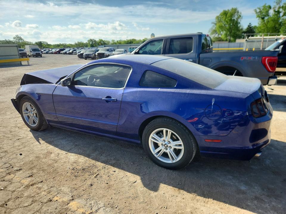 2014 Ford Mustang მანქანა იყიდება აუქციონზე, vin: 1ZVBP8AM6E5229228, აუქციონის ნომერი: 49832446