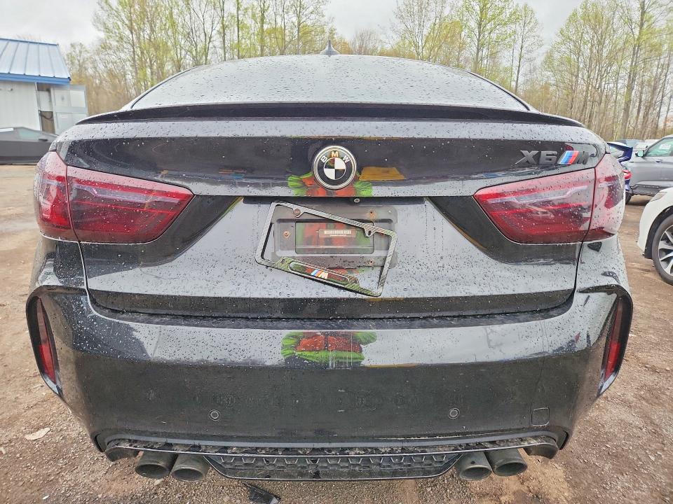 50812126 :رقم المزاد ، 5YMKW8C51G0R43738 vin ، 2016 Bmw X6 مزاد بيع