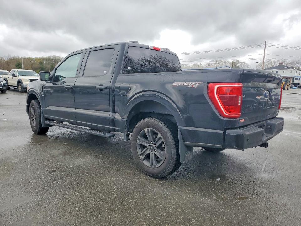 2023 Ford F150 მანქანა იყიდება აუქციონზე, vin: 1FTEW1EP6PFA56497, აუქციონის ნომერი: 52023456