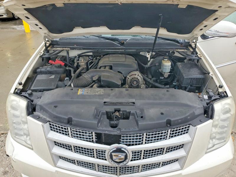 Auction sale of the 2010 Cadillac Escalade, vin: 1GYUKKEF7AR289485, lot number: 47917586