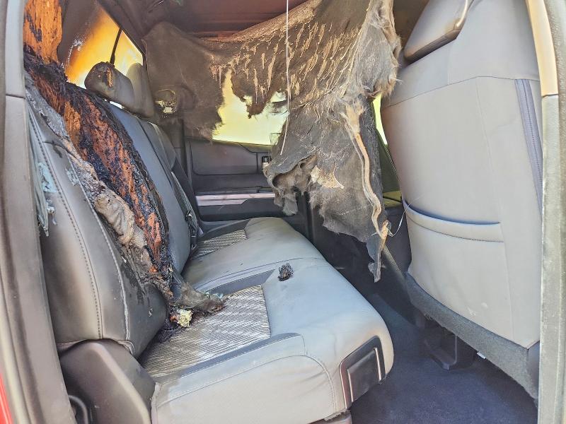 Aukcja sprzedaży 2019 Toyota Tundra, vin: 5TFRM5F10KX144280, numer aukcji: 50624986