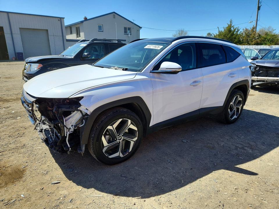 Auction sale of the 2023 Hyundai Tucson, vin: 5NMJECAE3PH244060, lot number: 49249926