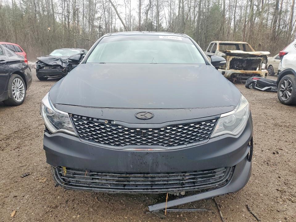 Aukcja sprzedaży 2016 Kia Optima, vin: 5XXGU4L31GG062676, numer aukcji: 50253046
