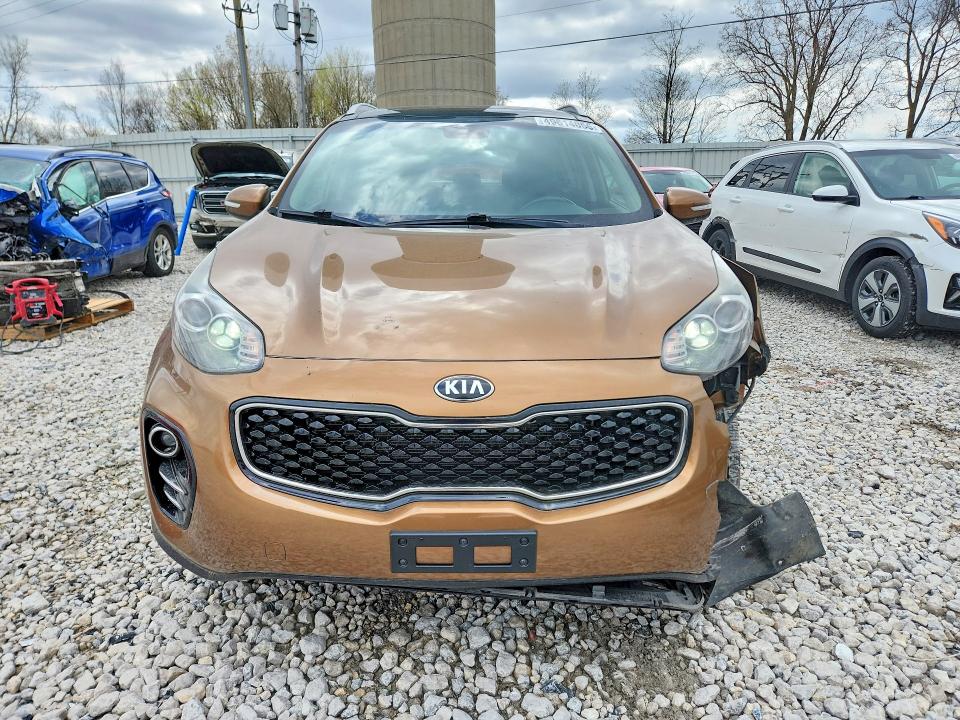 Продаж на аукціоні авто 2017 Kia Sportage, vin: KNDPNCAC9H7108534, номер лоту: 49614056