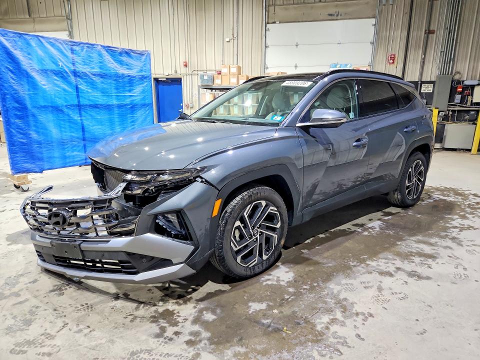 Продажа на аукционе авто 2025 Hyundai Tucson, vin: 5NMJECDE5SH496588, номер лота: 48809206
