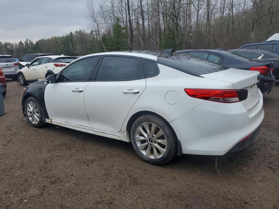 Aukcja sprzedaży 2016 Kia Optima, vin: 5XXGU4L31GG062676, numer aukcji: 50253046