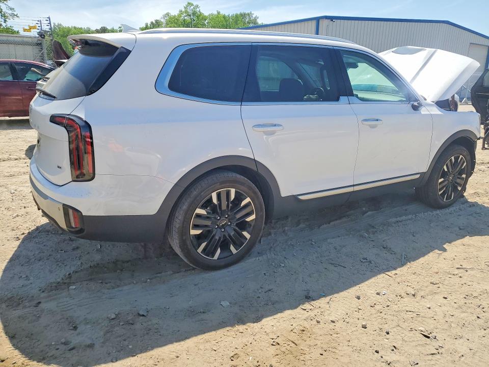 2024 Kia Telluride მანქანა იყიდება აუქციონზე, vin: 5XYP5DGCXRG539076, აუქციონის ნომერი: 50216186