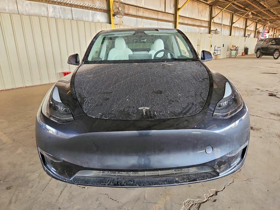 Продажа на аукционе авто 2025 Tesla Model Y, vin: 7SAYGDED6SF228643, номер лота: 50629976